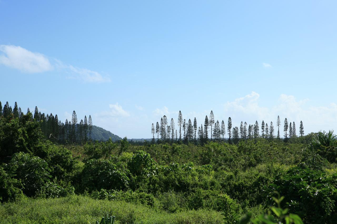 Kirpal Meditation And Ecological Center Pahoa Exterior foto