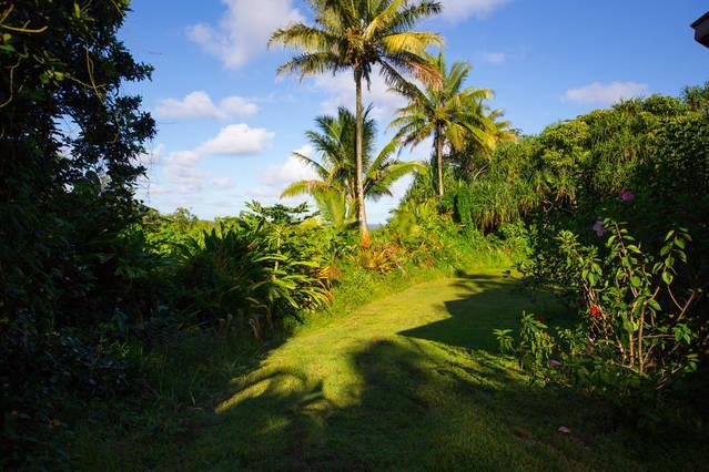 Kirpal Meditation And Ecological Center Pahoa Exterior foto