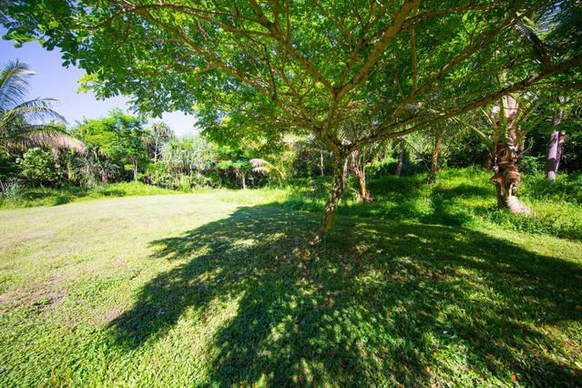 Kirpal Meditation And Ecological Center Pahoa Exterior foto